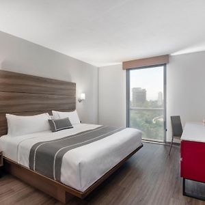 Suite con Cama King